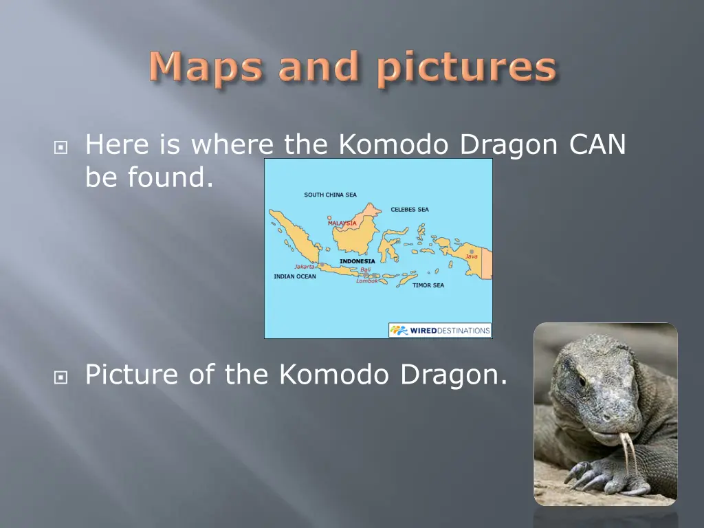 here is where the komodo dragon can be found