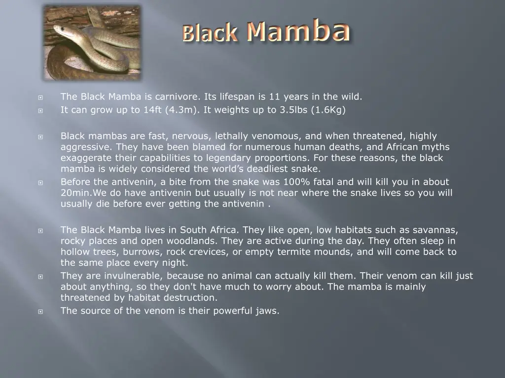 the black mamba is carnivore its lifespan