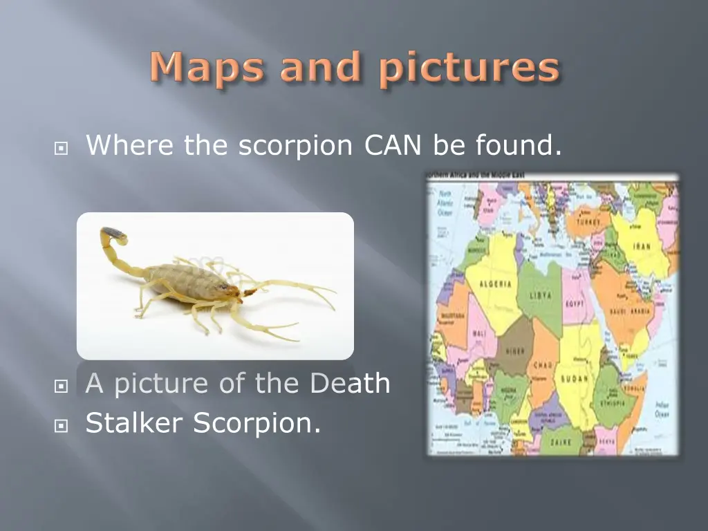 where the scorpion can be found