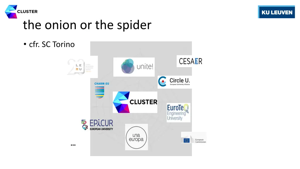 the onion or the spider