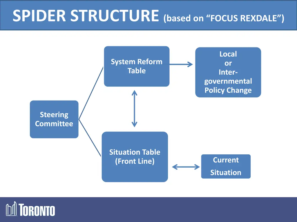 spider structure based on focus rexdale