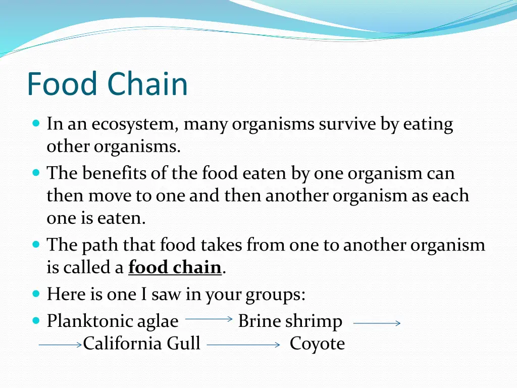 food chain