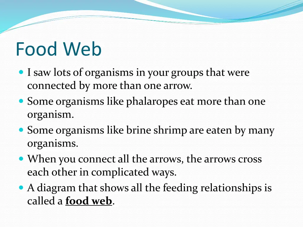 food web