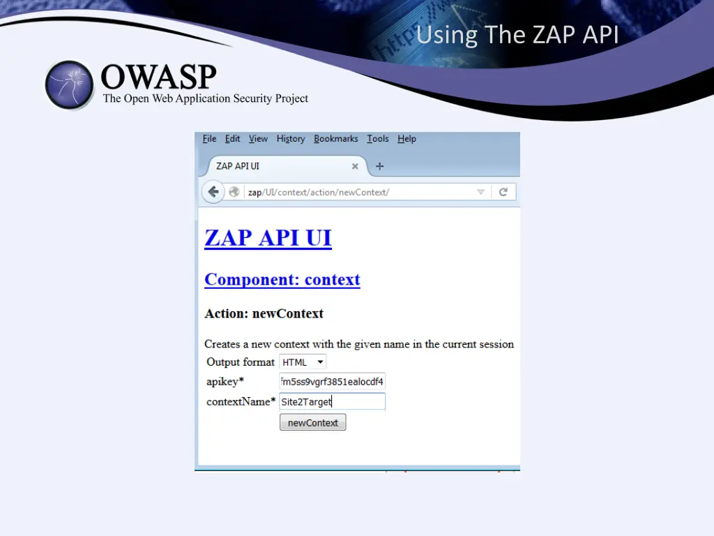 using the zap api 2