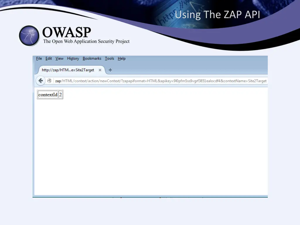 using the zap api 3