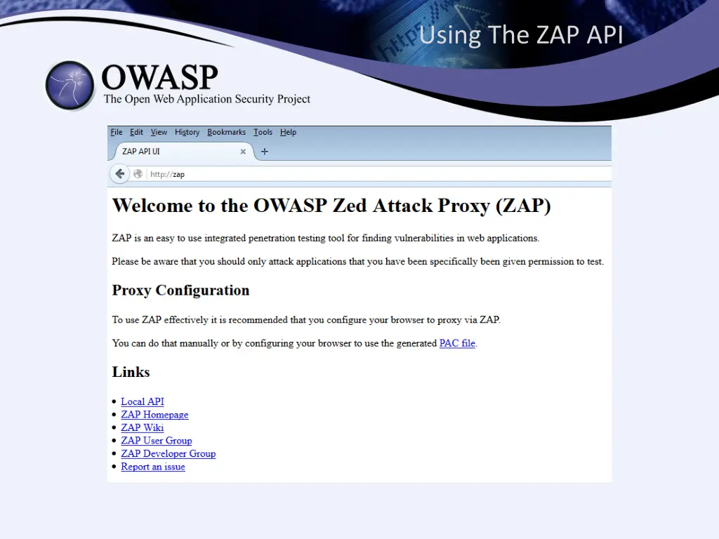 using the zap api