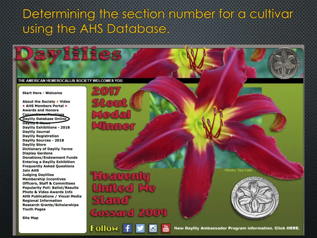 determining the section number for a cultivar