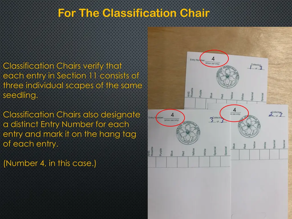 for the classification chair