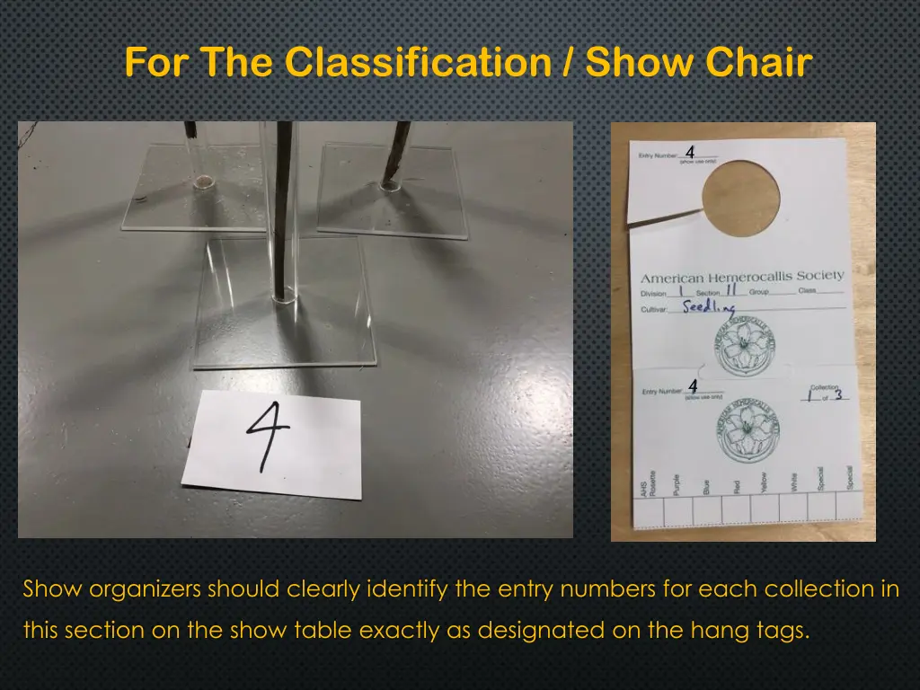 for the classification show chair