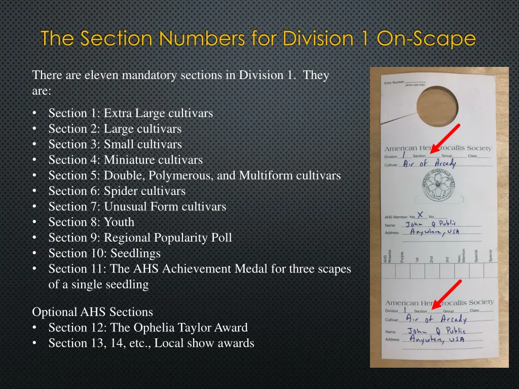 the section numbers for division 1 on scape