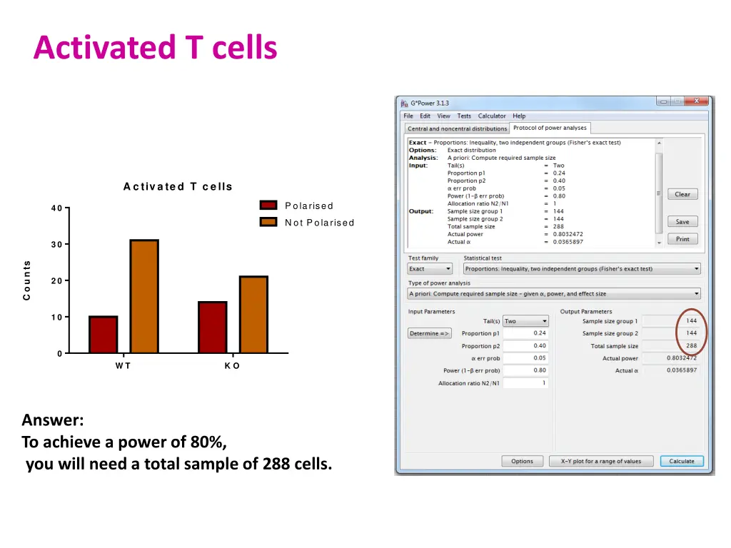 activated t cells