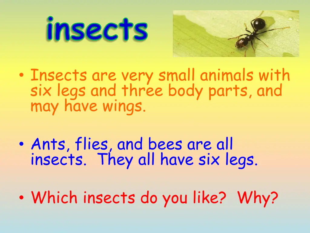 insects