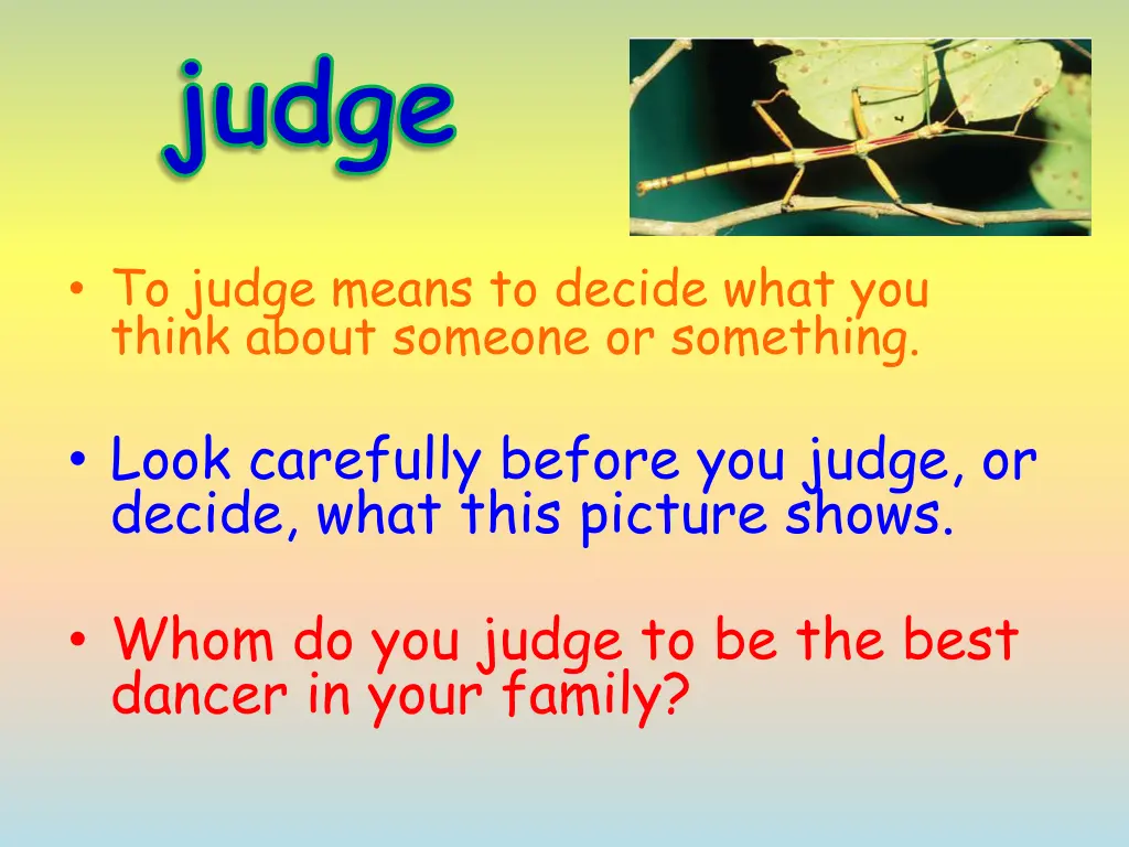 judge