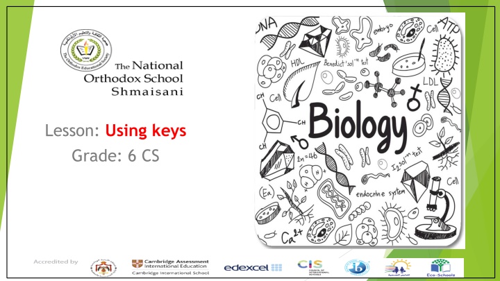 lesson using keys grade 6 cs