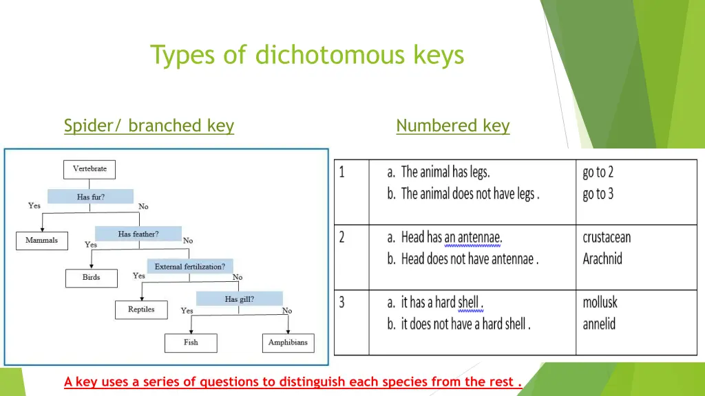 types of dichotomous keys