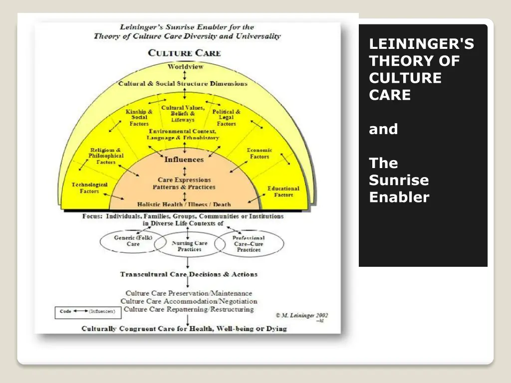 leininger s theory of culture care