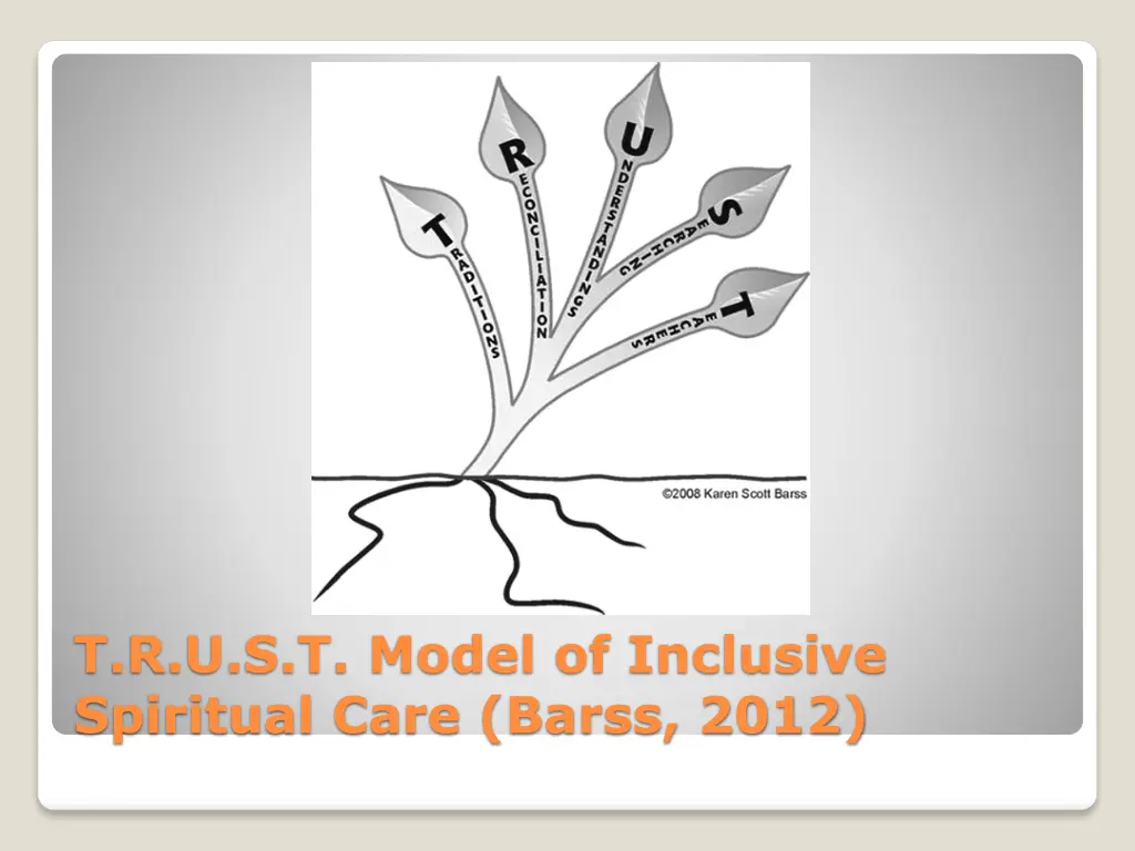 t r u s t model of inclusive spiritual care barss