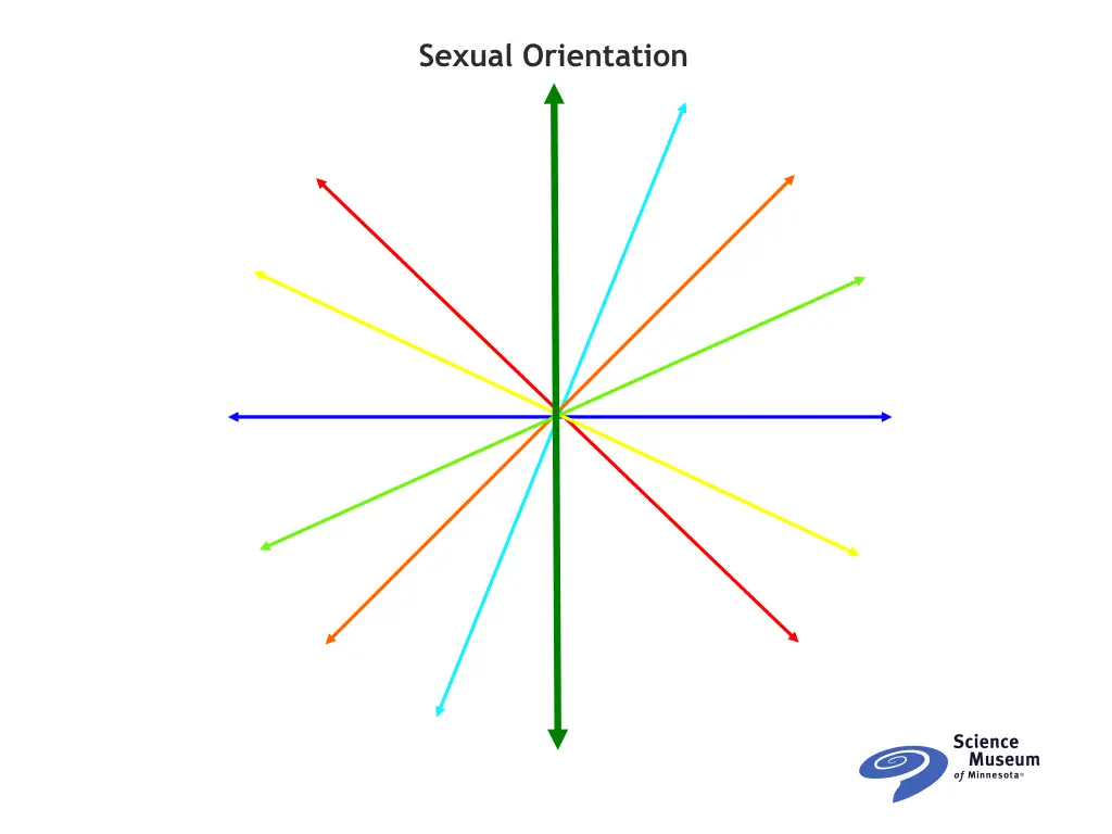 sexual orientation