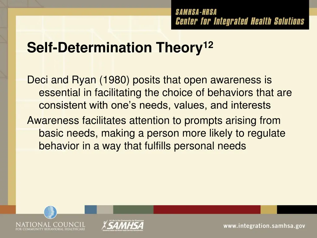 self determination theory 12