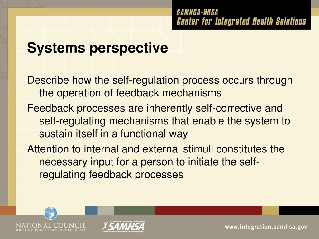 systems perspective