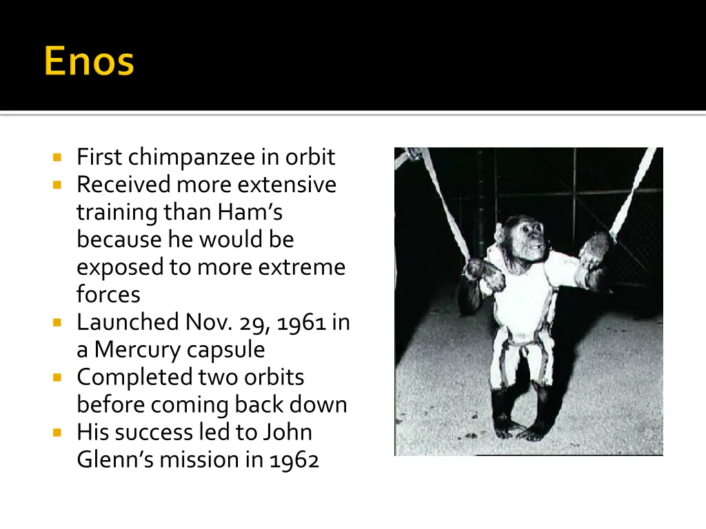 first chimpanzee in orbit received more extensive