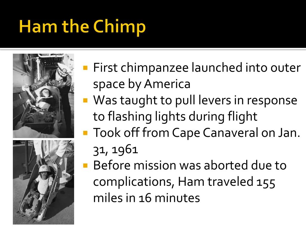 first chimpanzee launched into outer space