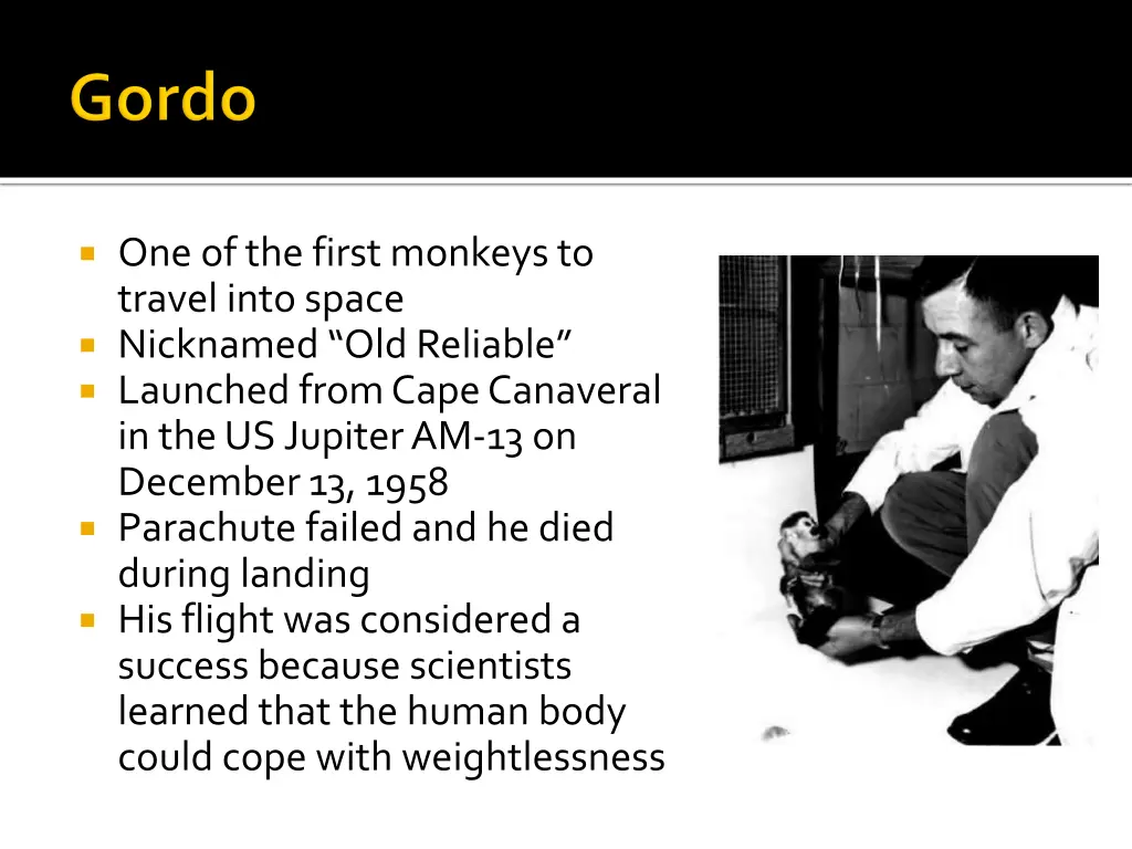 one of the first monkeys to travel into space