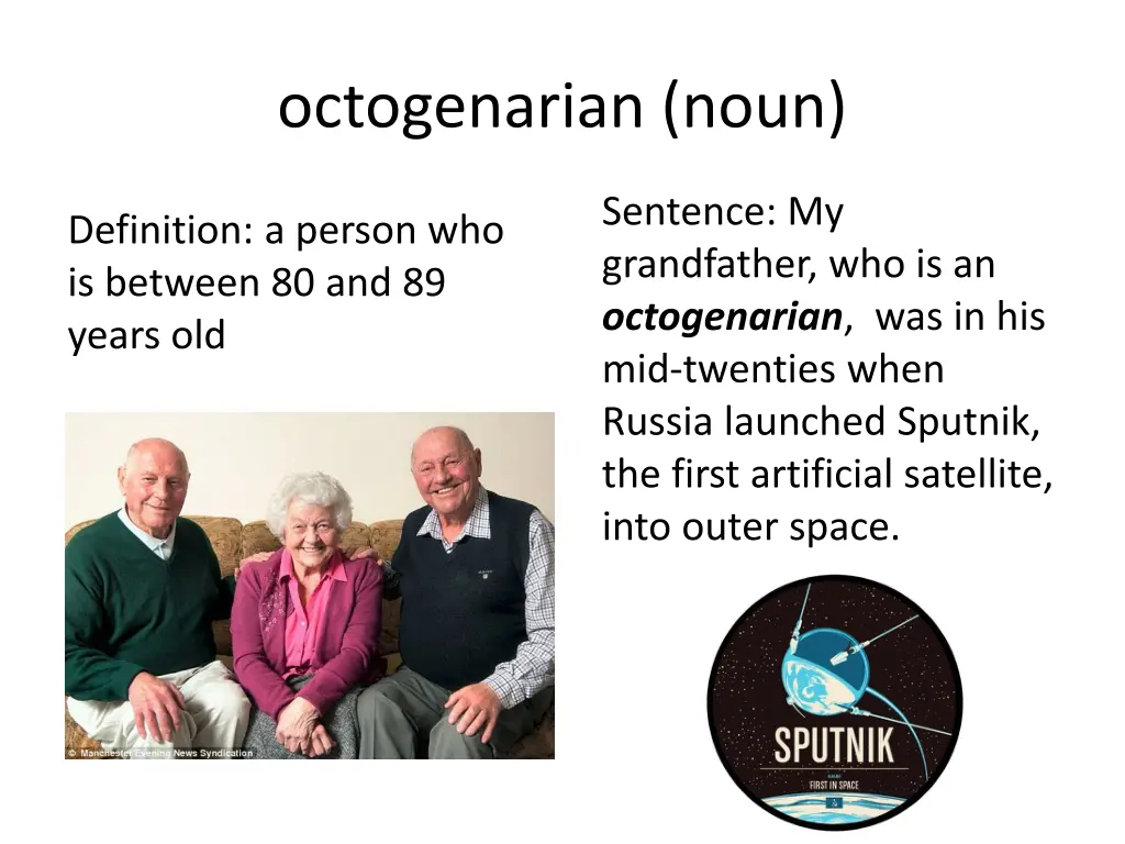 octogenarian noun