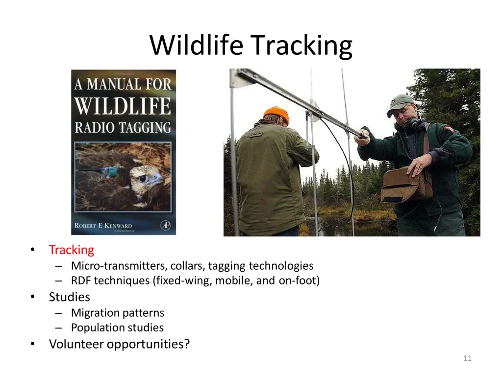 wildlifetracking