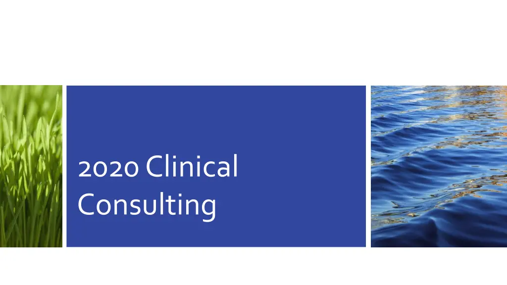 2020 clinical consulting