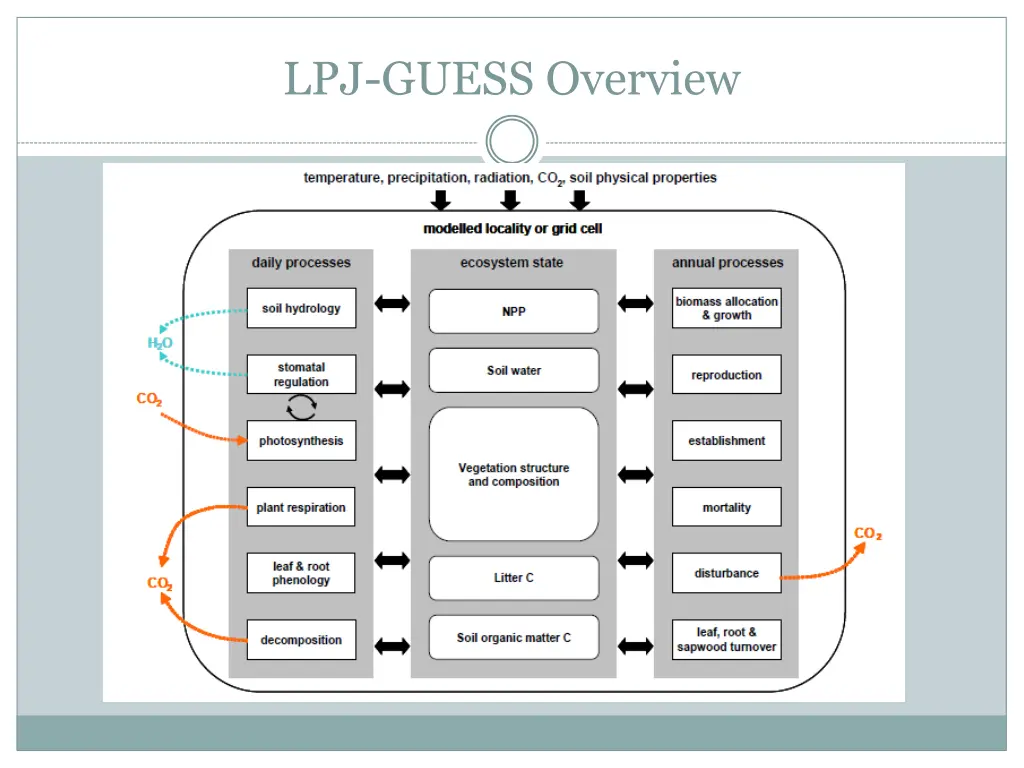 lpj guess overview