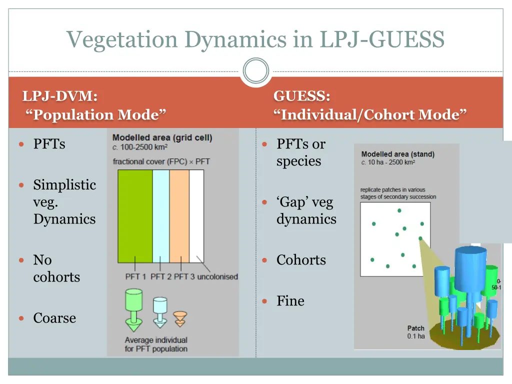 vegetation dynamics in lpj guess