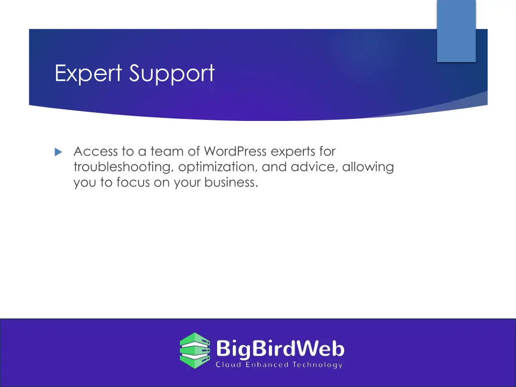 expert support