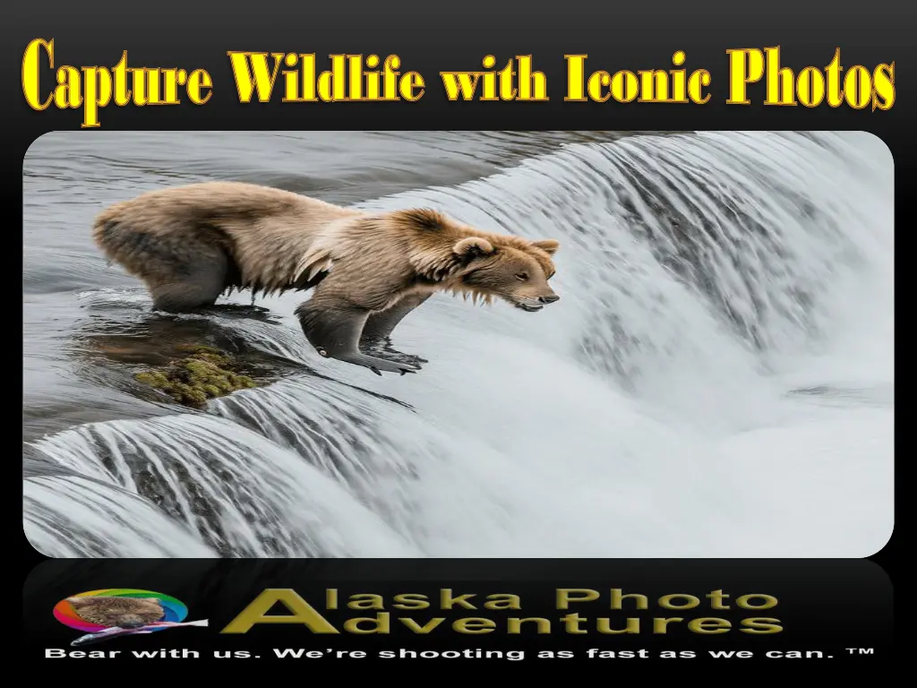 capture wildlife with iconic photos capture 2