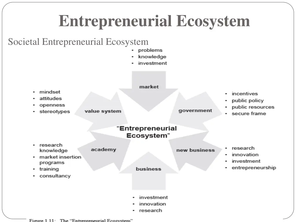 entrepreneurial ecosystem