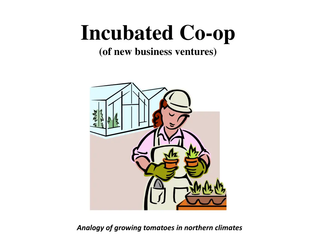 incubated co op of new business ventures