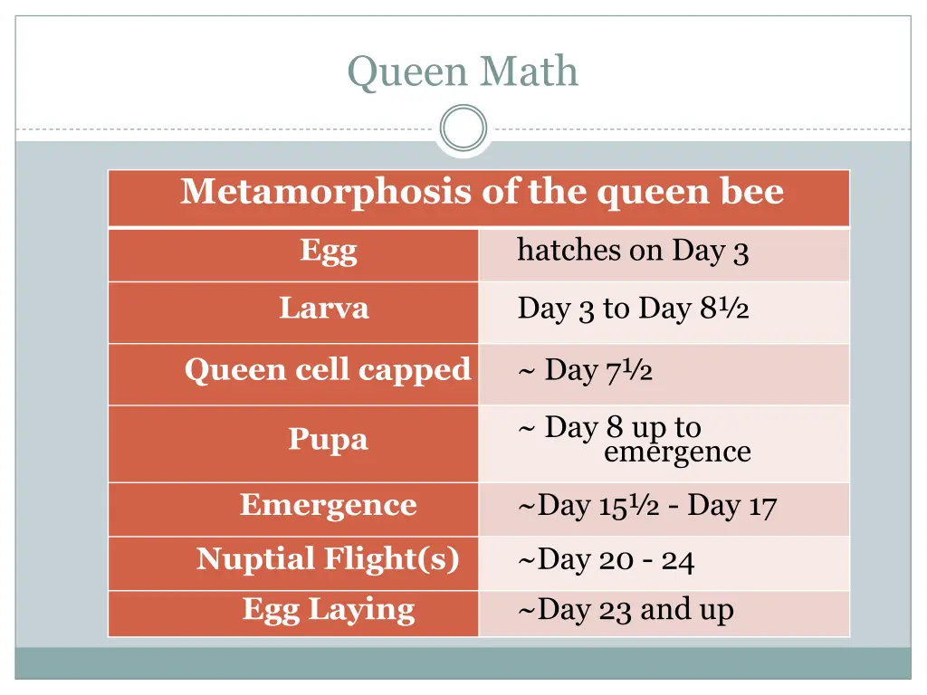 queen math