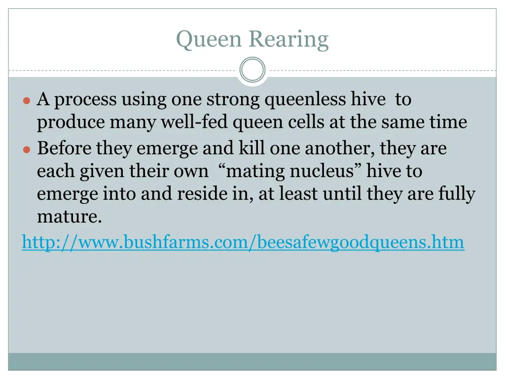 queen rearing