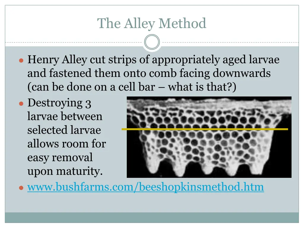 the alley method