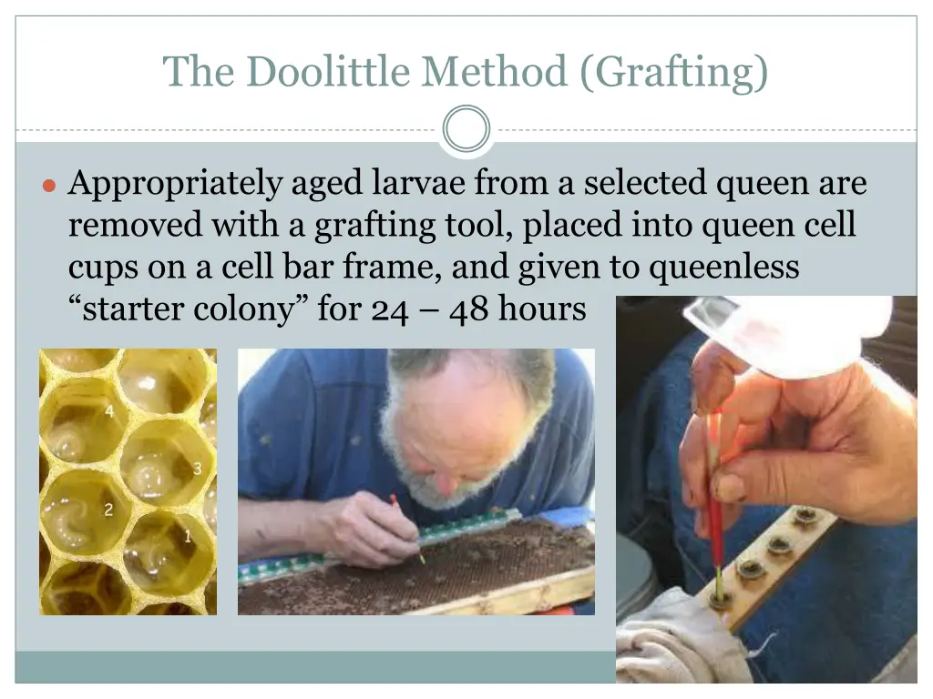 the doolittle method grafting