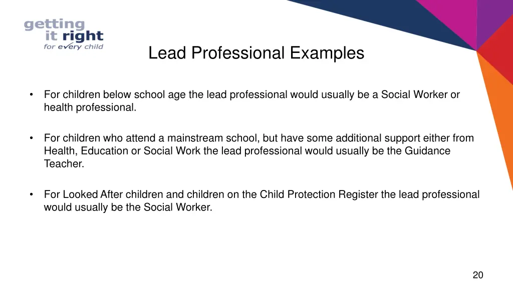 lead professional examples