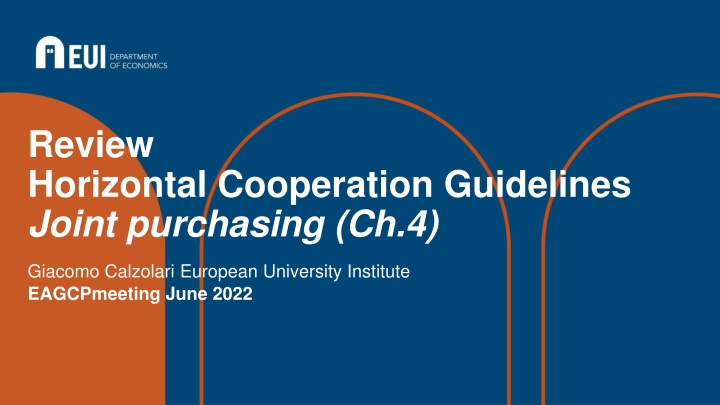 review horizontal cooperation guidelines joint