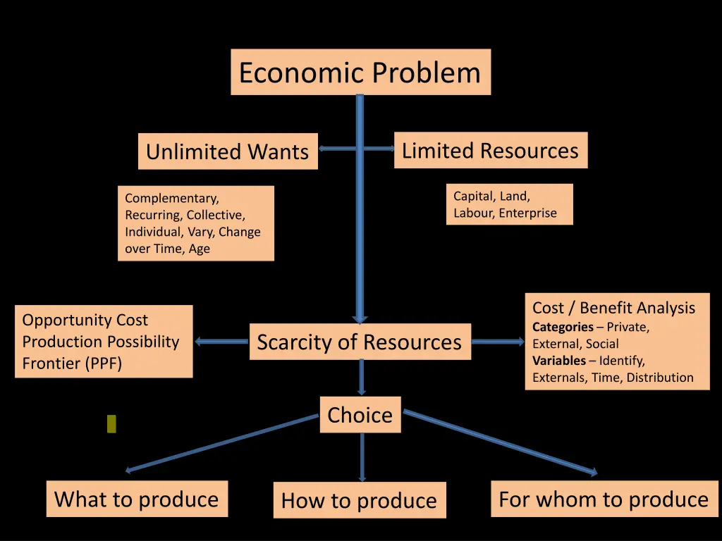 economic problem