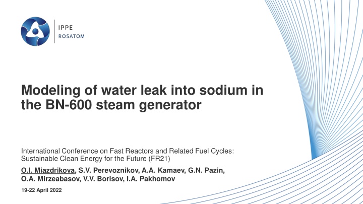 modeling of water leak into sodium