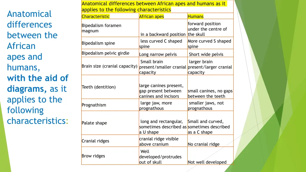 anatomical differences between african apes