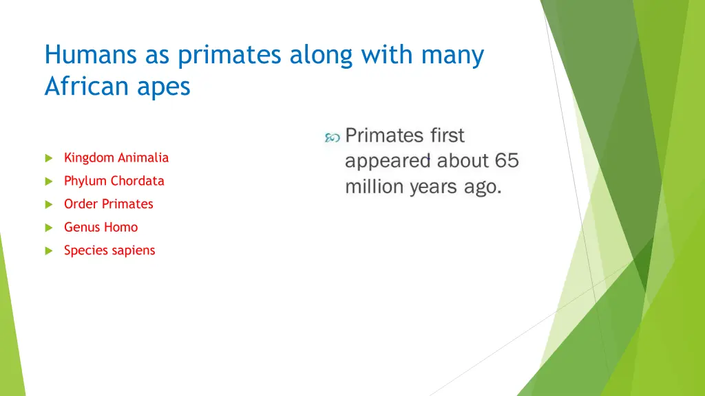 humans as primates along with many african apes