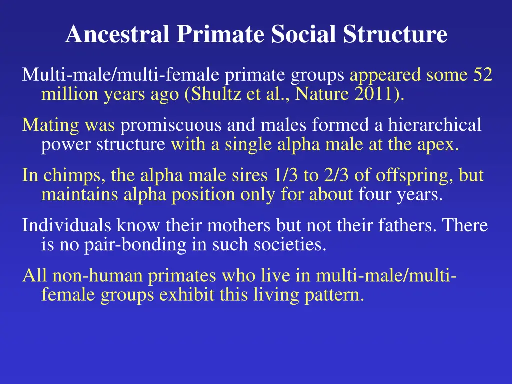 ancestral primate social structure