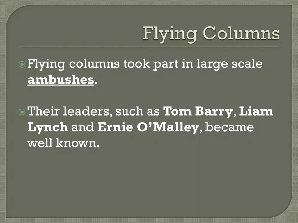 flying columns took part in large scale ambushes