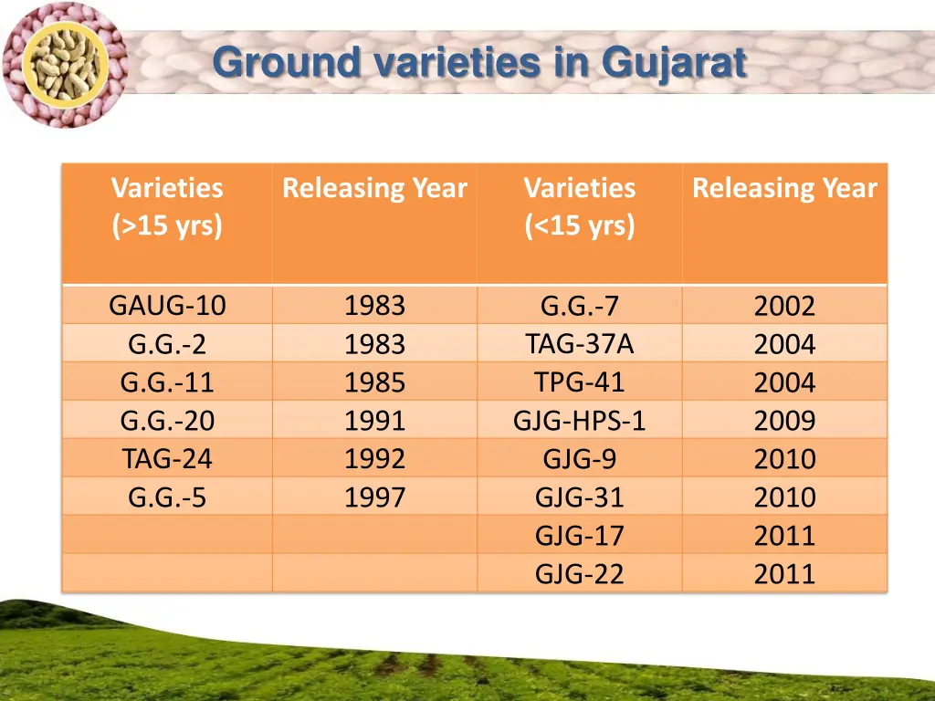 ground varieties in gujarat