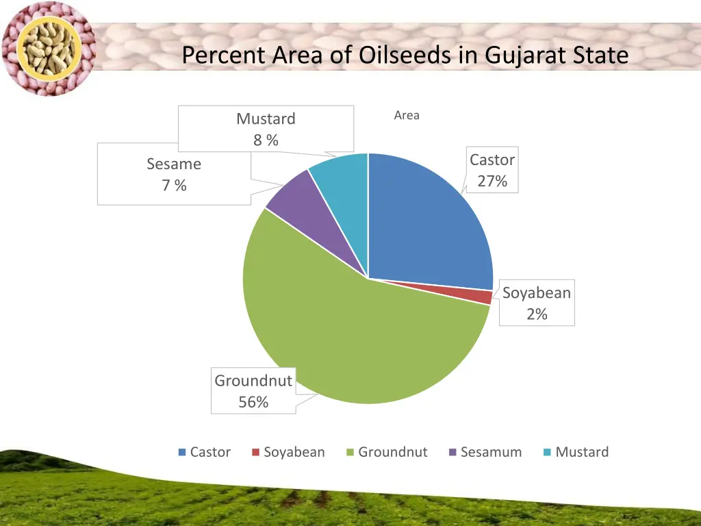 percent area of oilseeds in gujarat state